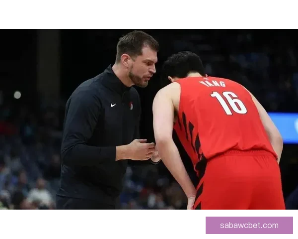 从杨瀚森学到的中文词汇与阿夫迪亚乐福之间的精彩对话分析